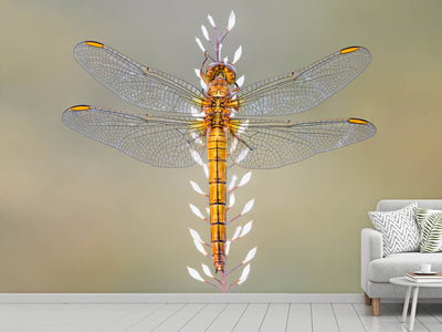 photo-wallpaper-dragonfly