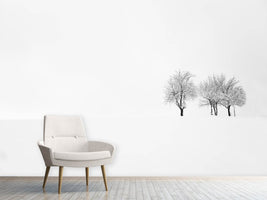 photo-wallpaper-tree-and-silence-x