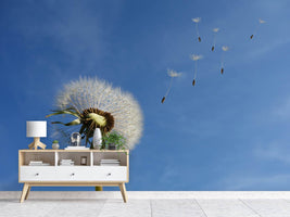 photo-wallpaper-dandelion-i-wish-for-something