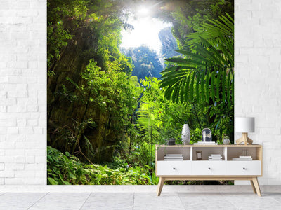 photo-wallpaper-clearing-in-the-jungle