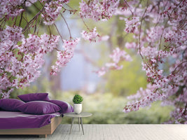 photo-wallpaper-in-the-beautiful-spring