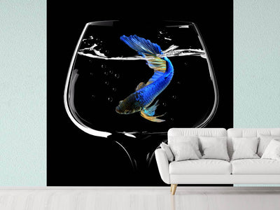 photo-wallpaper-betta-fish-dance