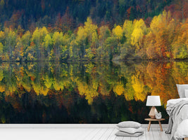 photo-wallpaper-autumnal-silence