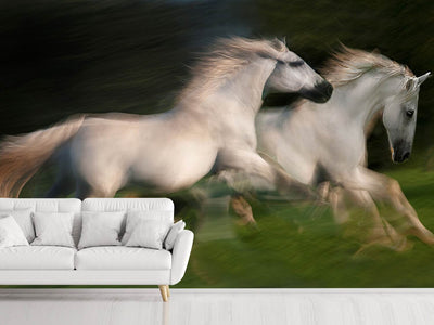 photo-wallpaper-gallop-for-two