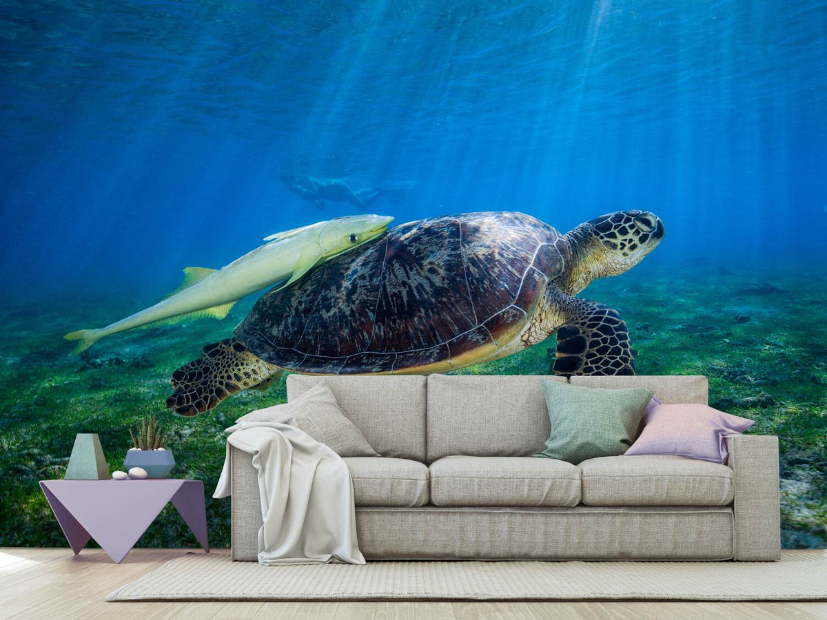 photo-wallpaper-sea-turtle