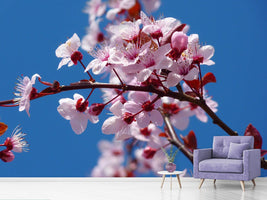 photo-wallpaper-the-almond-blossom