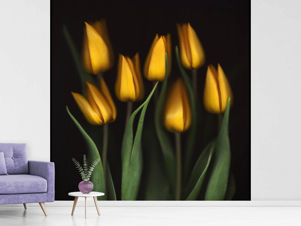 photo-wallpaper-tulips-ii