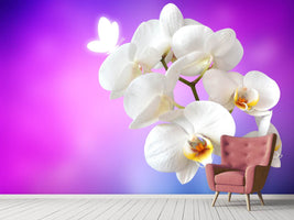 photo-wallpaper-flower-power-orchid