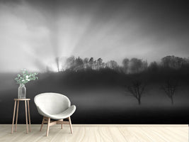 photo-wallpaper-the-sun-in-the-fog