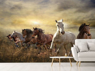 photo-wallpaper-wild-wild-horses