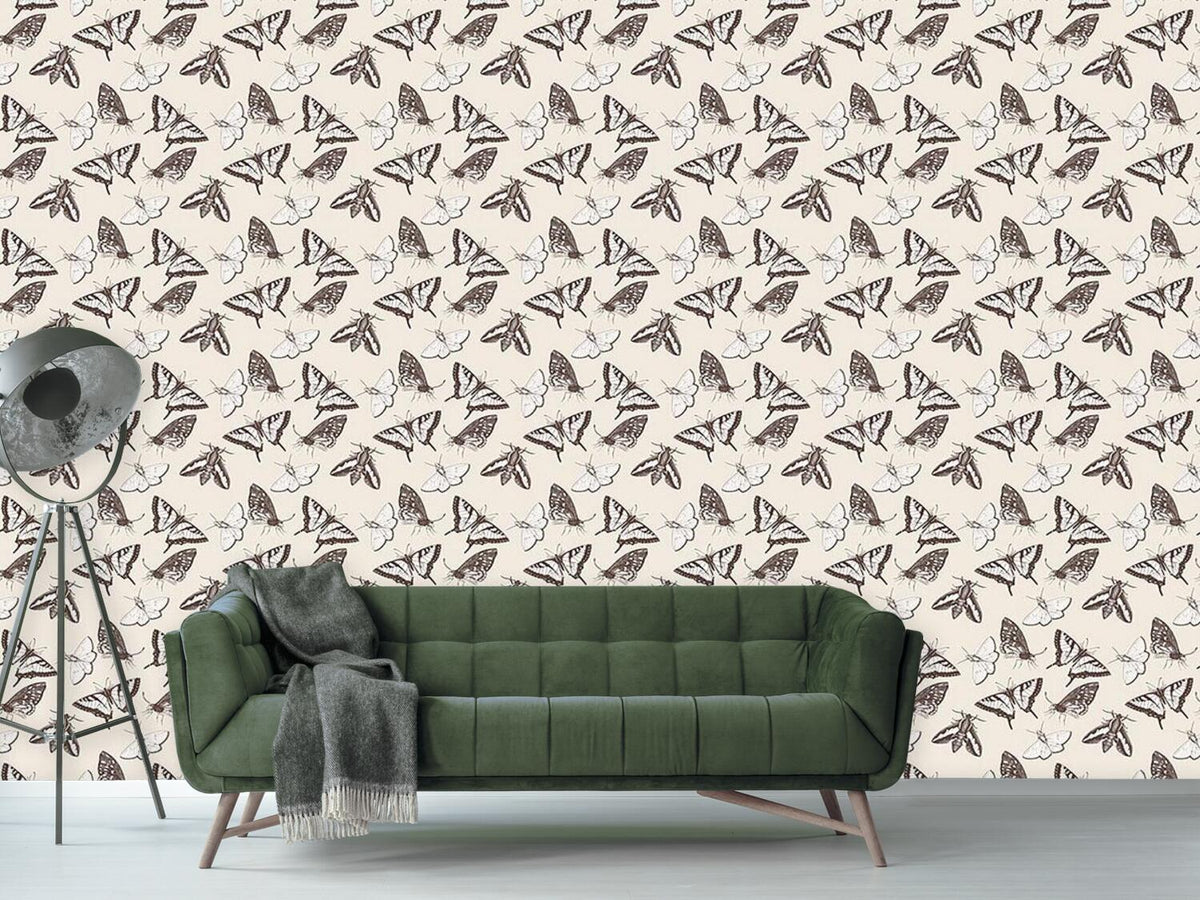 patterned-wallpaper-butterflies-and-moths