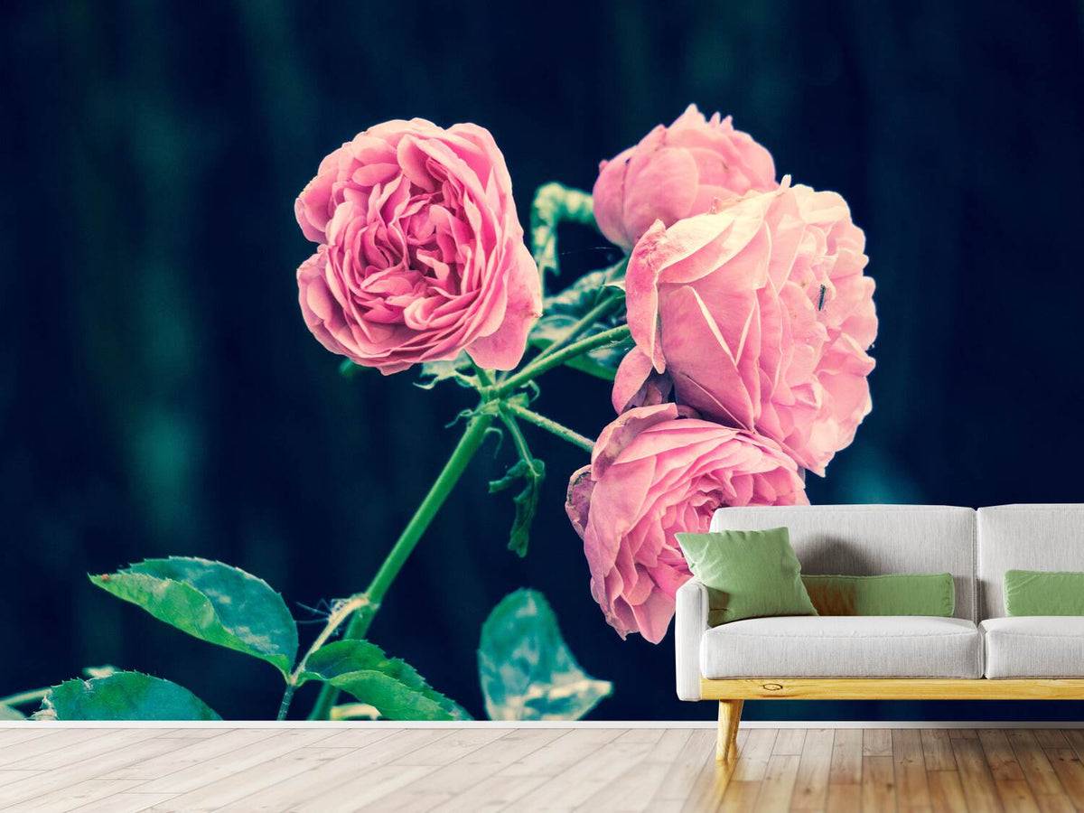 photo-wallpaper-beautiful-pink-roses