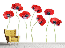 photo-wallpaper-ladybird-poppies