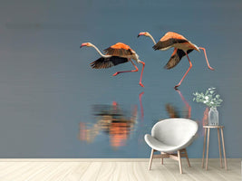 photo-wallpaper-flamingo-landing-x