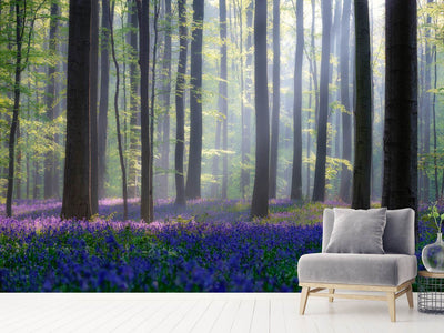 photo-wallpaper-bluebells