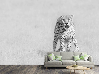 photo-wallpaper-cheetah-x