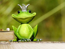 photo-wallpaper-mr-frog-king