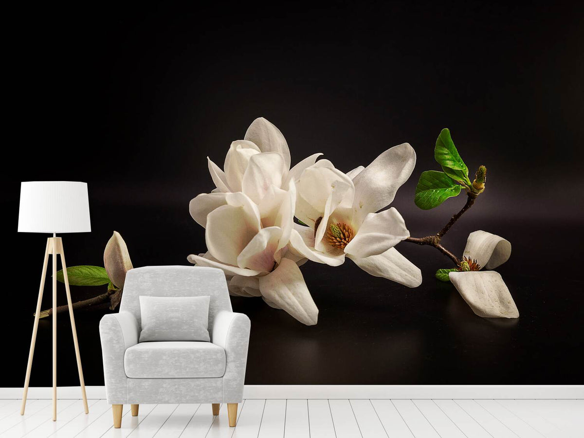 photo-wallpaper-magnolia