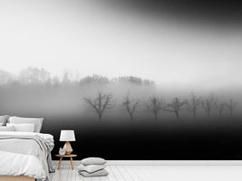 photo-wallpaper-eight-trees-in-the-mist