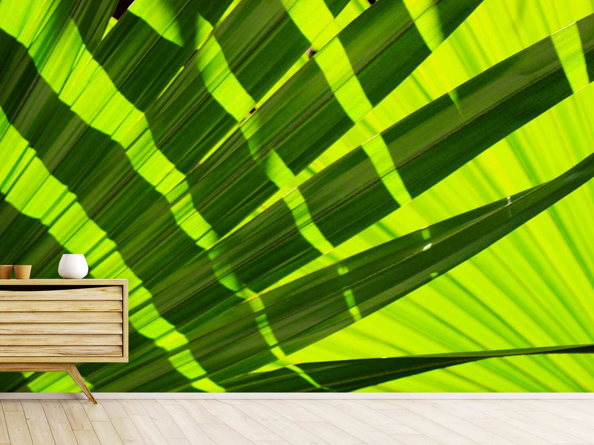 photo-wallpaper-the-palm-leaf-in-xl