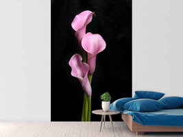 photo-wallpaper-3-purple-callas