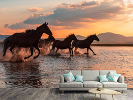 photo-wallpaper-water-horses-x