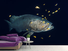 photo-wallpaper-giant-grouper