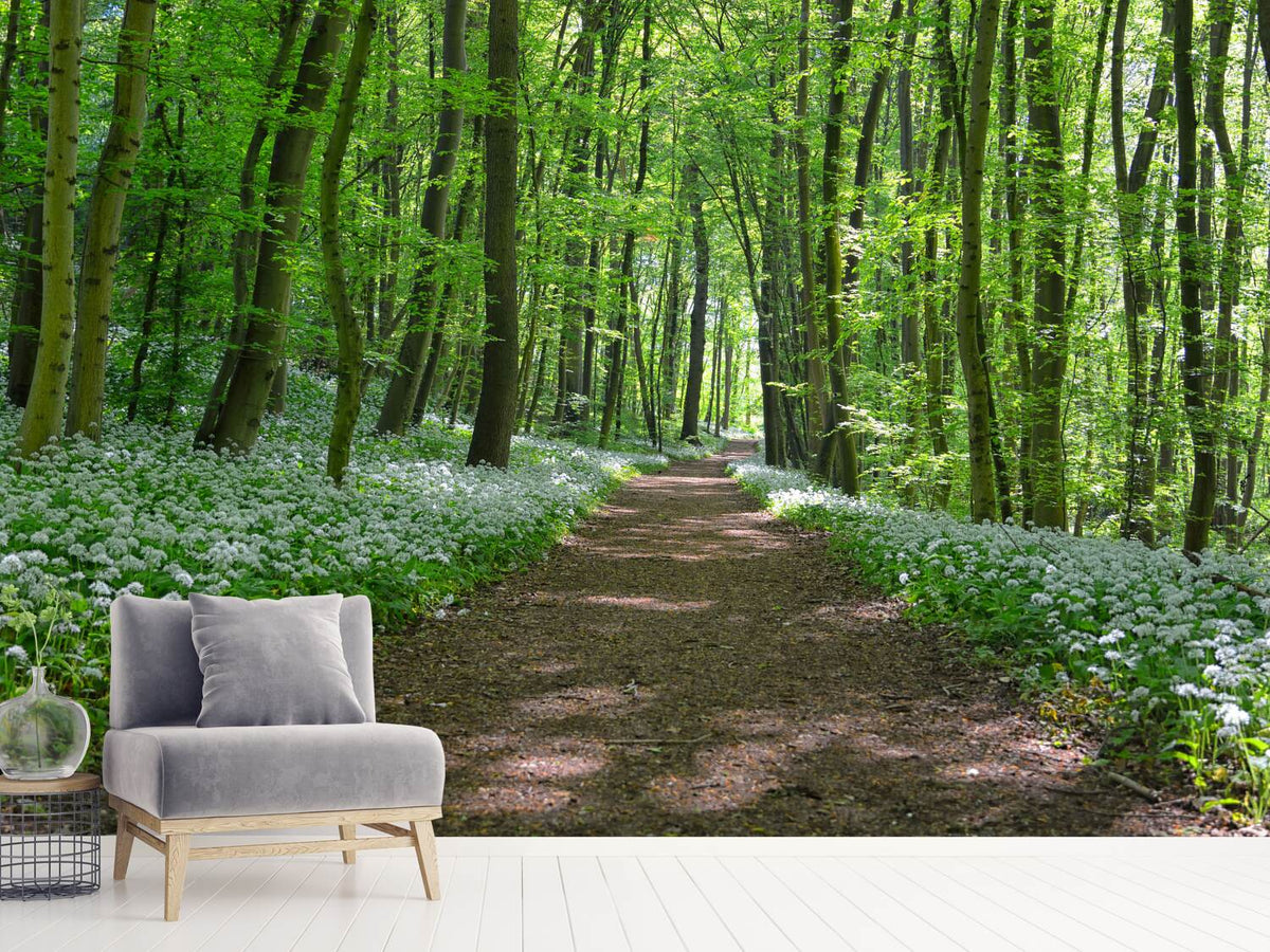 photo-wallpaper-we-love-the-summer-in-the-woods