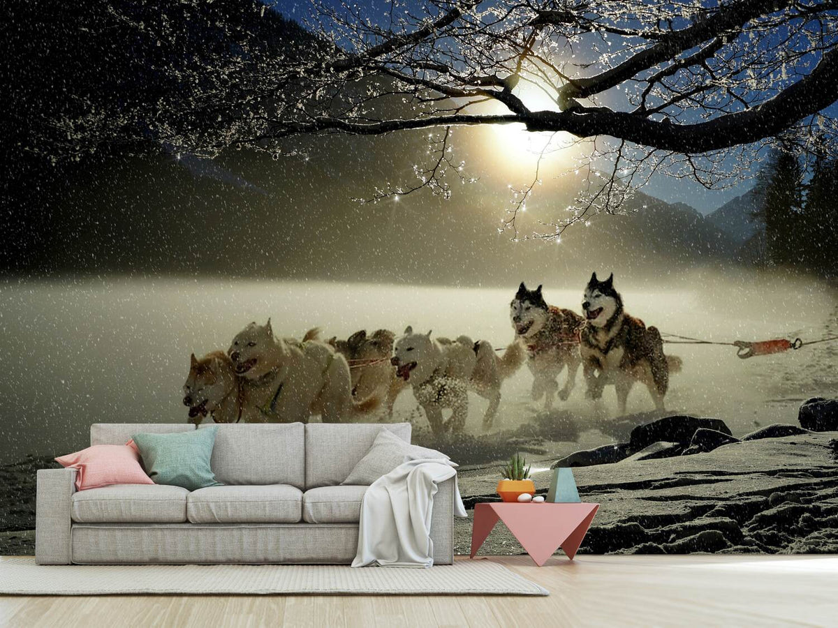 photo-wallpaper-huskies