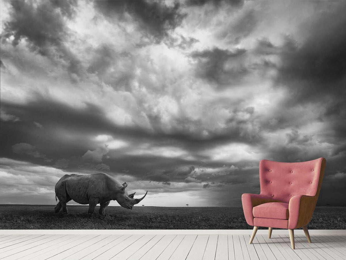 photo-wallpaper-rhino-land-x