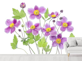 photo-wallpaper-anemone-hadspen-abundance-x