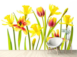 photo-wallpaper-vibrant-spring-x