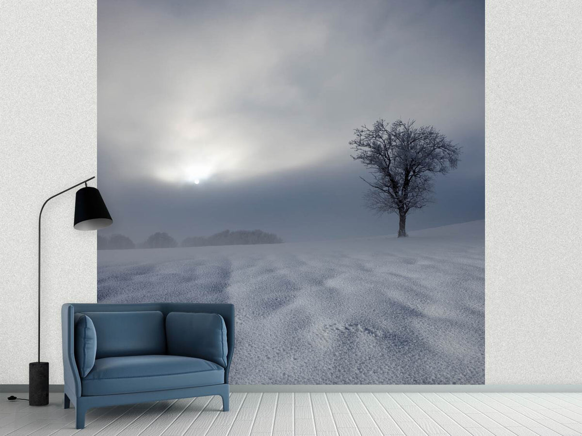 photo-wallpaper-winter-impression