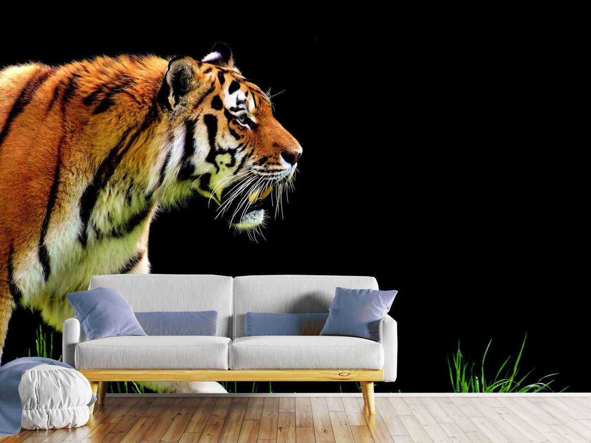 photo-wallpaper-imposing-tiger