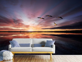 photo-wallpaper-morning-mood-x