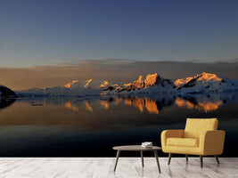 photo-wallpaper-peaceful-antarctic