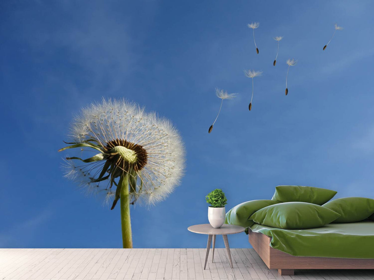 photo-wallpaper-dandelion-i-wish-for-something