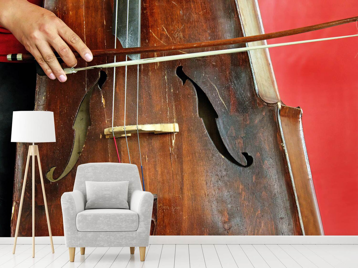 photo-wallpaper-the-cello