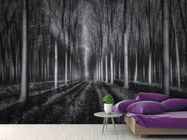 photo-wallpaper-into-the-forest-x