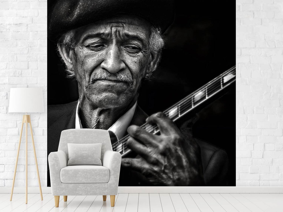 photo-wallpaper-the-guitarist