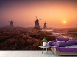 photo-wallpaper-foggy-morning-xji