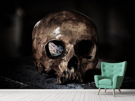 photo-wallpaper-the-skull