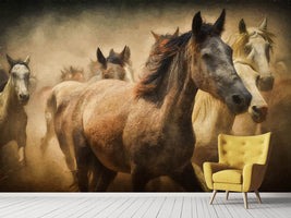 photo-wallpaper-painting-wild-horses