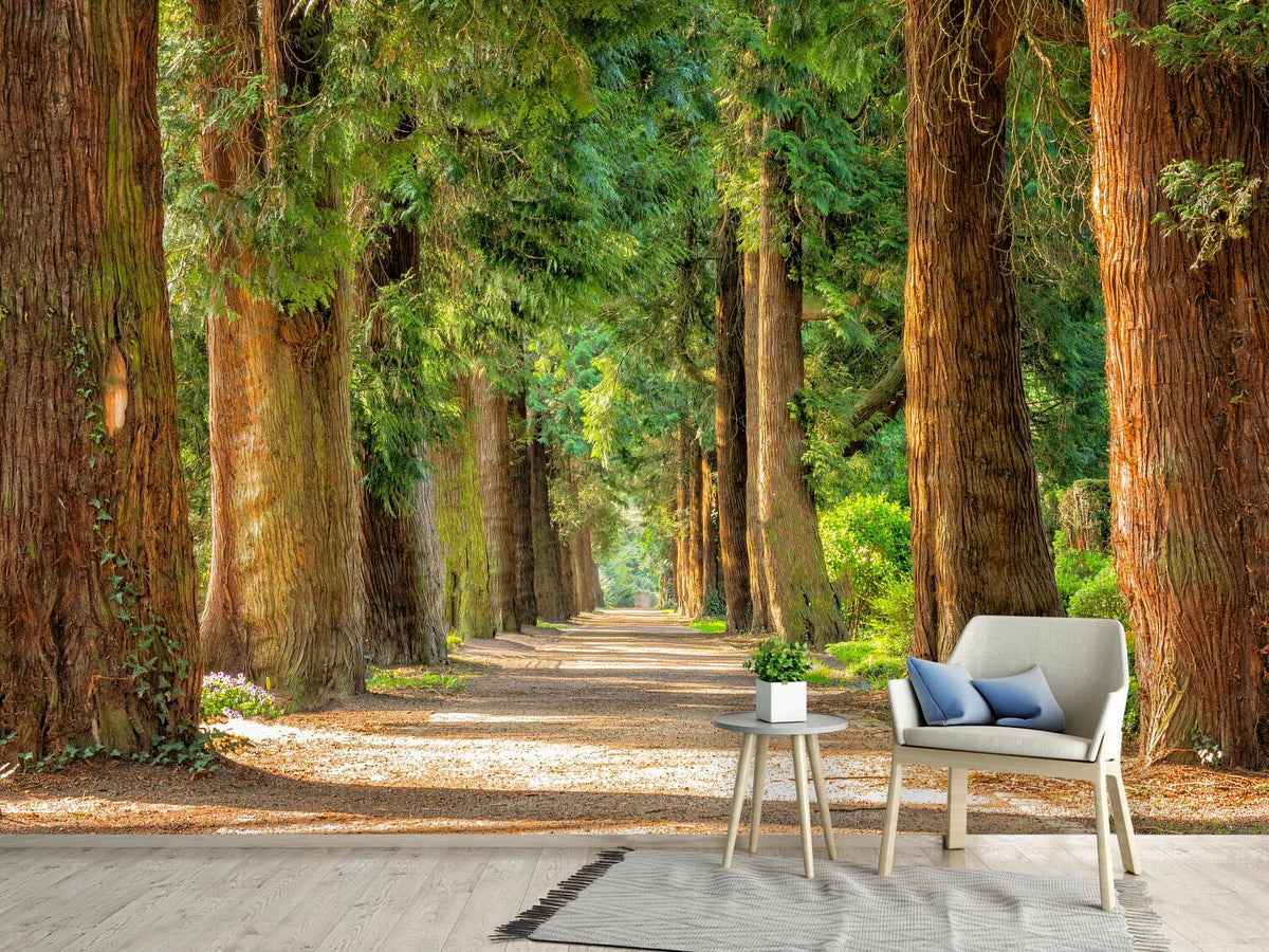 photo-wallpaper-the-green-avenue