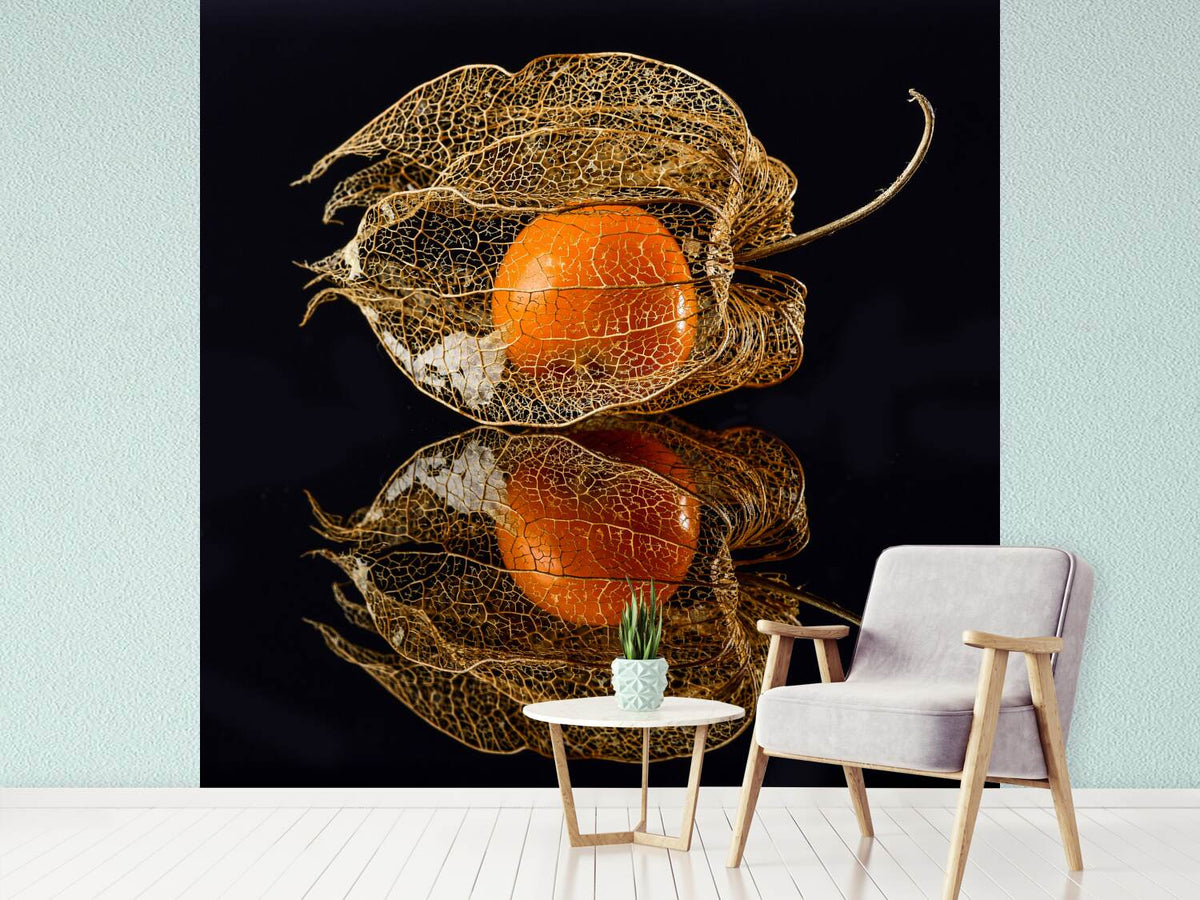 photo-wallpaper-physalis