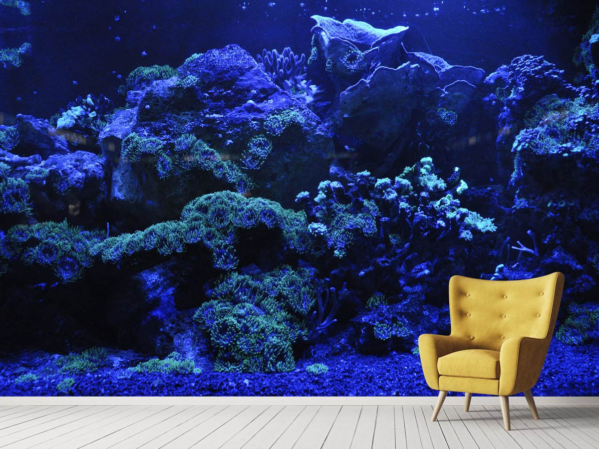 photo-wallpaper-coral-reef-in-blue