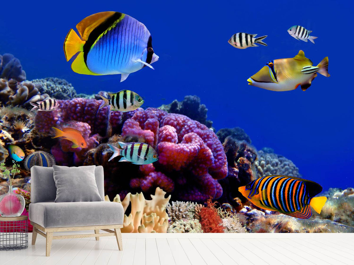 photo-wallpaper-world-of-fish