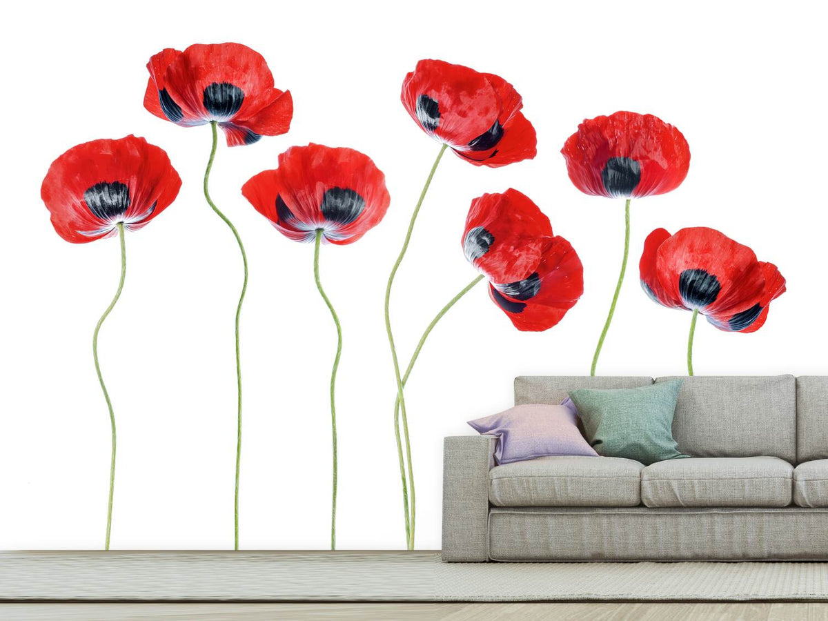 photo-wallpaper-ladybird-poppies