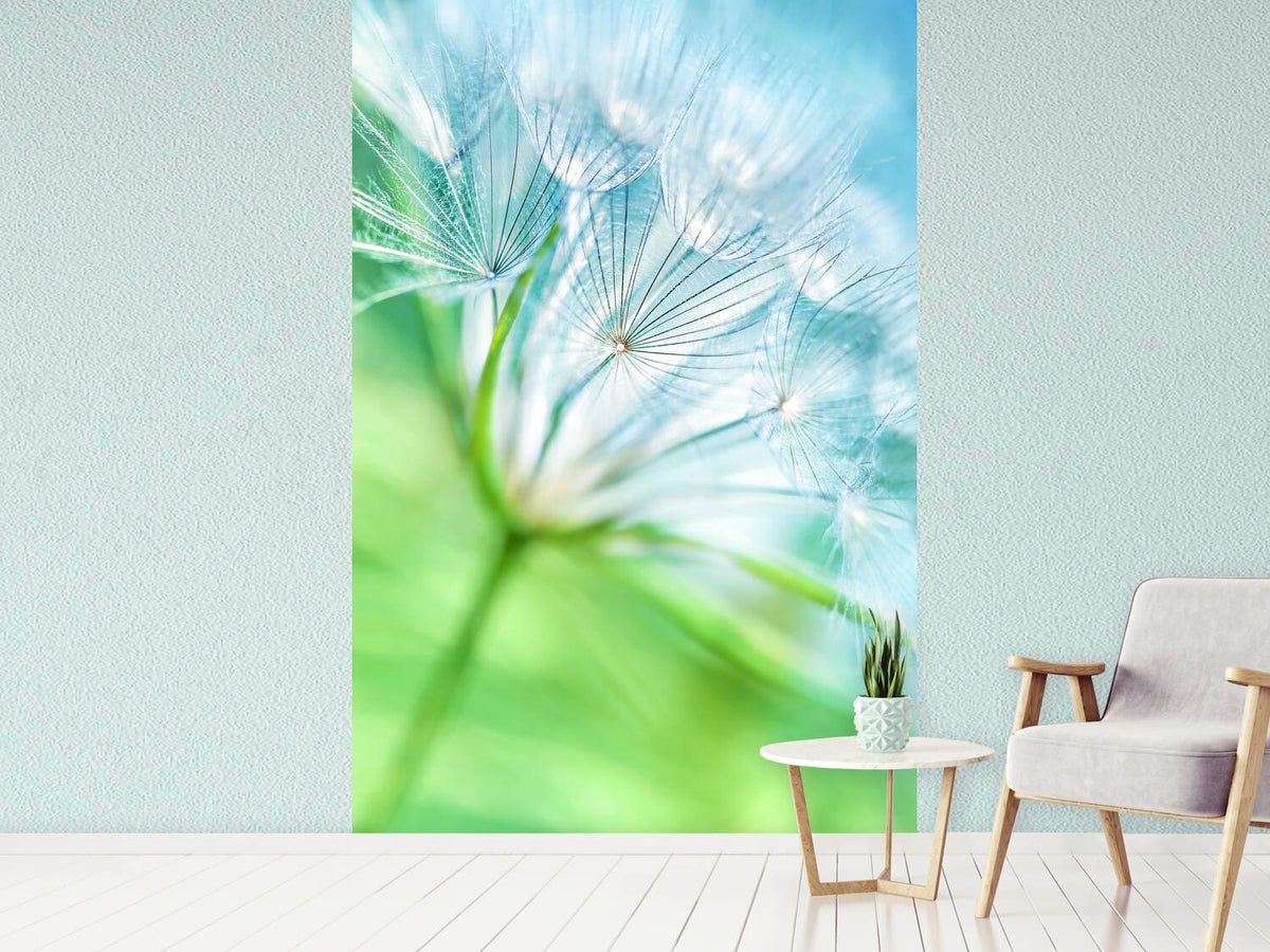 photo-wallpaper-macro-dandelion