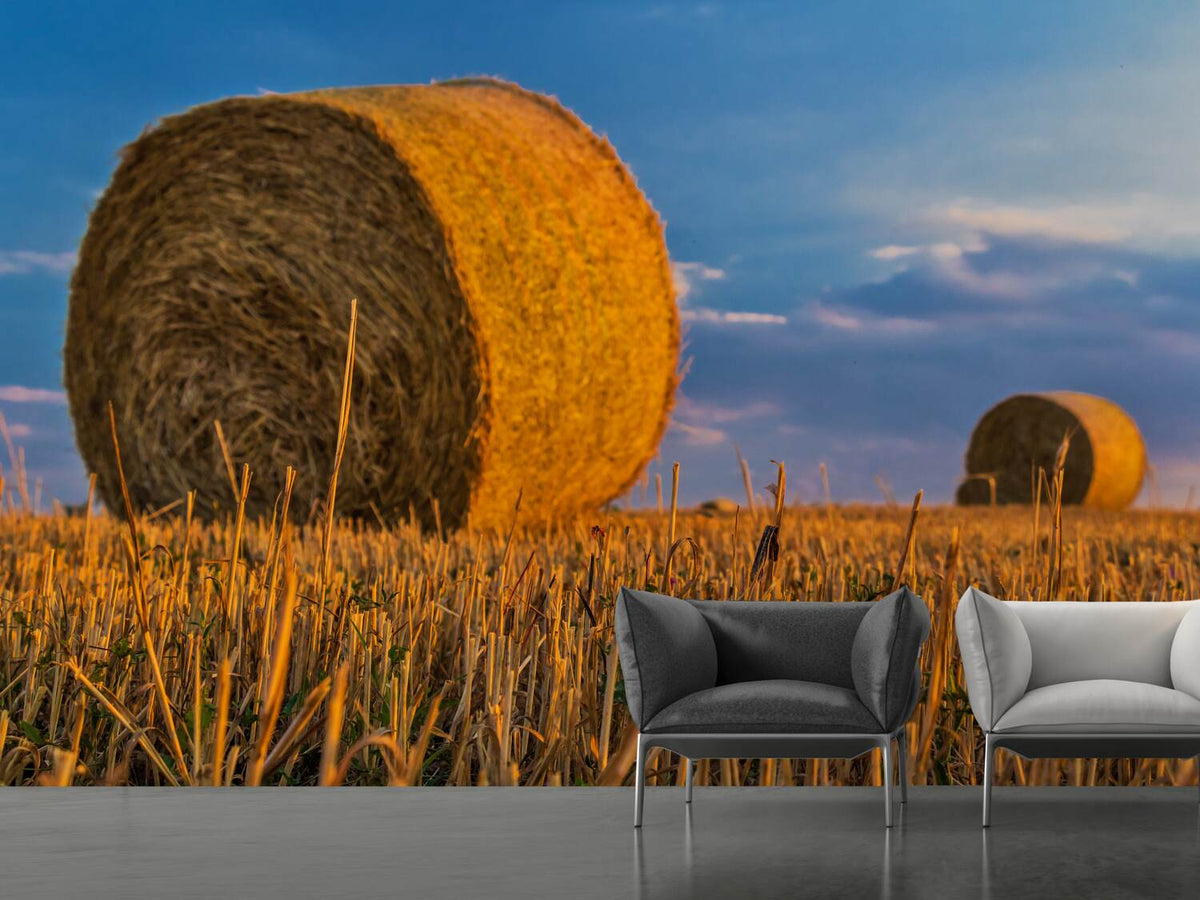 photo-wallpaper-straw-bales